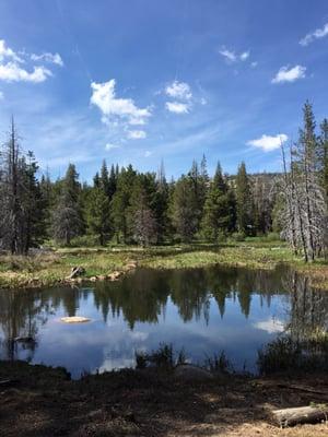 Little pond before we got to the lake