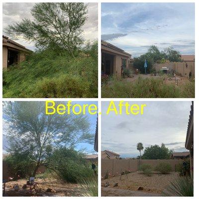 A tree we removed last monsoon season