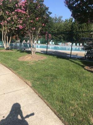 Community pool