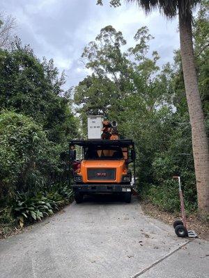 Jackson Tree Service