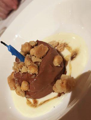 Dark chocolate panna cotta with peanut brittle