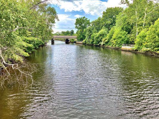 Waltman Park -- view of Maurice River from Waltman Park