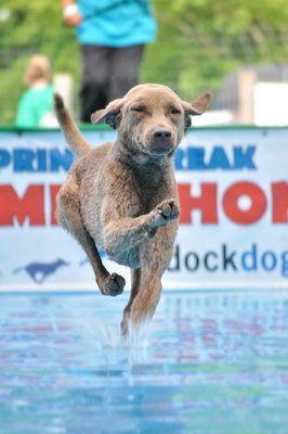 Tebow walking on water