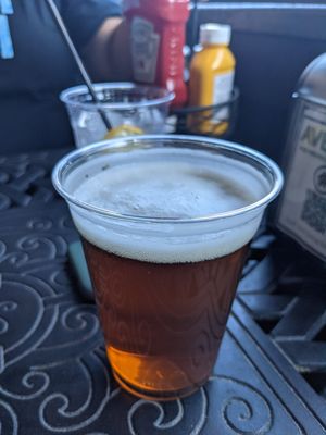 Scam plastic cups for disrespecting craft beer. Owners brother must get em for free because no other restaurant in the area does this