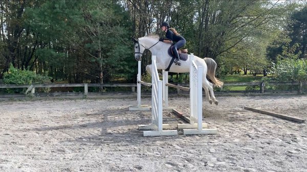 One of the horses Morgan has allowed me to ride volunteering.