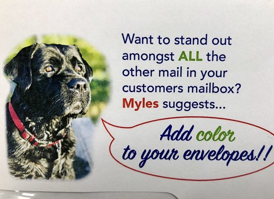 Full color envelopes