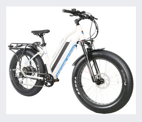 Mountain 2 Stream All Terrain step thru, each on and off. Fast and capable. Instock and ready to ride home (or have us deliver)