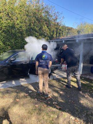 The boys fogging the car! Initial skunk kill was 5 feet away.