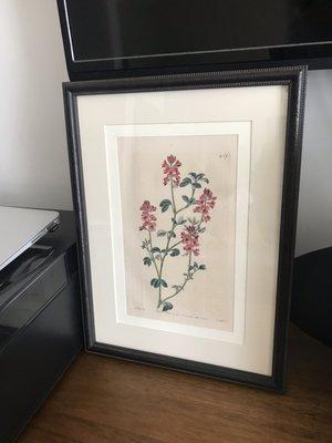 1800's lithograph with hand painted colors