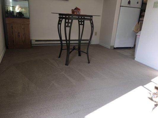 No more stained dining room floor!