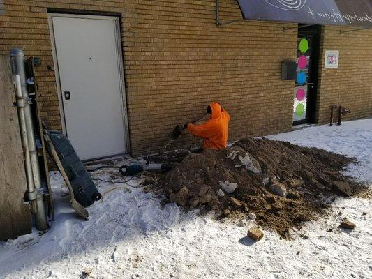 Digging up the main sewer due to tree Roots.