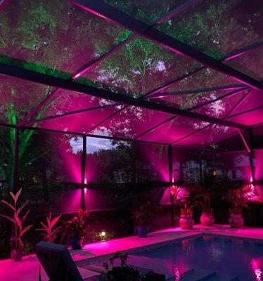 Color Changing pool enclosure lights