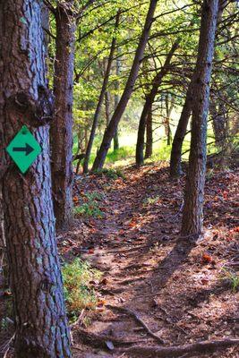 Walking the Trail, 2016