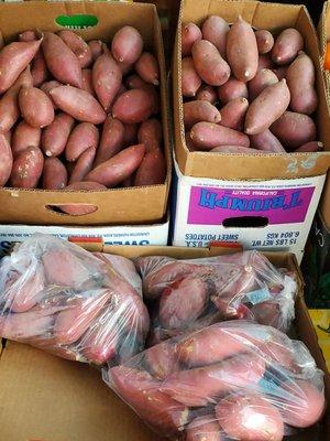 Pesticide free, locally grown Korean sweet potatoes, super sweet and nutritious not stringy like yams