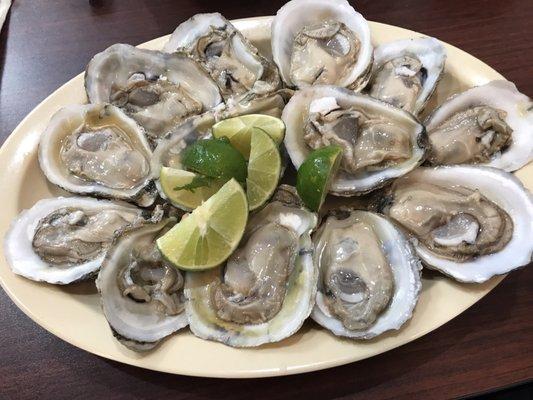 Fresh oysters