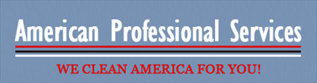 American Professional Service logo