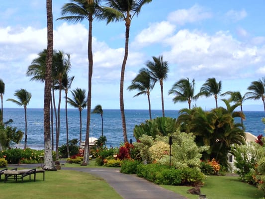 Maui, my favorite Hawaiian island