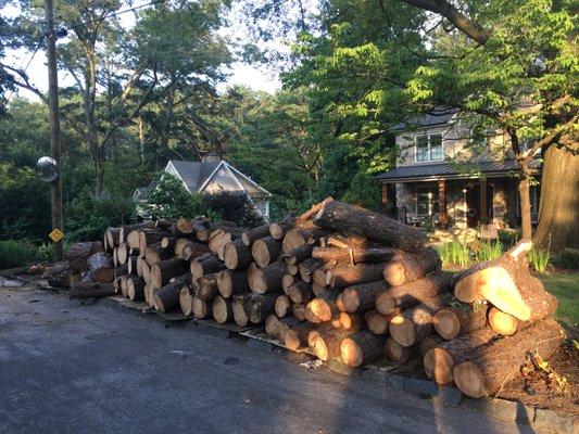 Logs stacked for removal