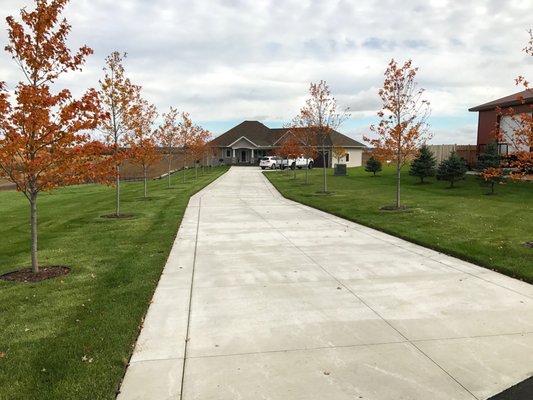 Concrete Driveway with Border