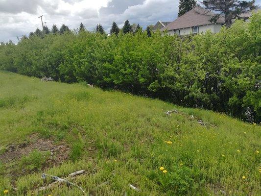 Huge 12,000+ sf lot for residential build in Deer Lodge. Near school and church, nice quiet neighborhood.