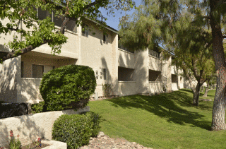 Beautiful lush landscaping, tall pine trees