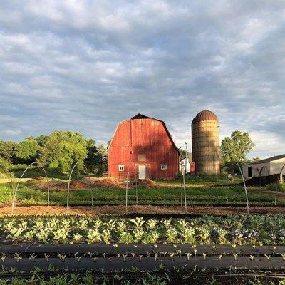 Field for the Family CSA Project at Raindance Organic Farm