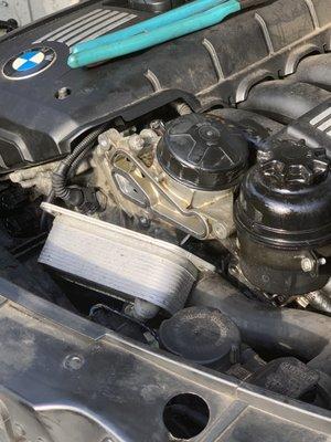 Oil leak & gasket repair