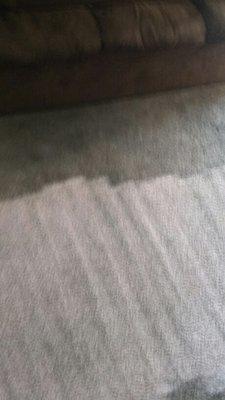 Nothing Sunshine carpet care can't clean