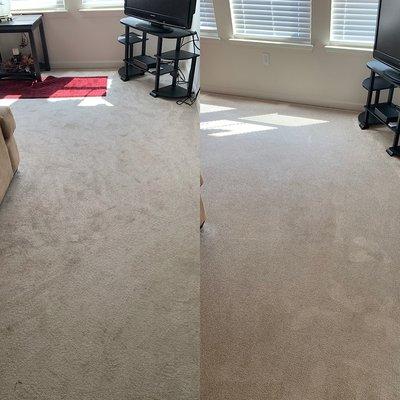 Carpet Cleaning