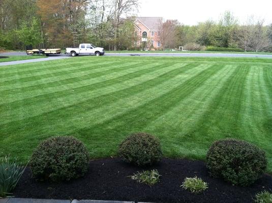 Lawn Care Services in Ellicott City, Md