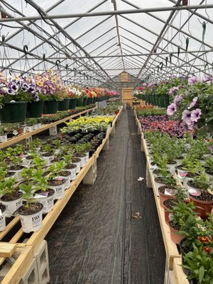 Rehoboth Nurseries