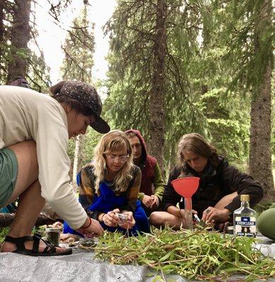 Students making extracts of harvested medicinal plants.