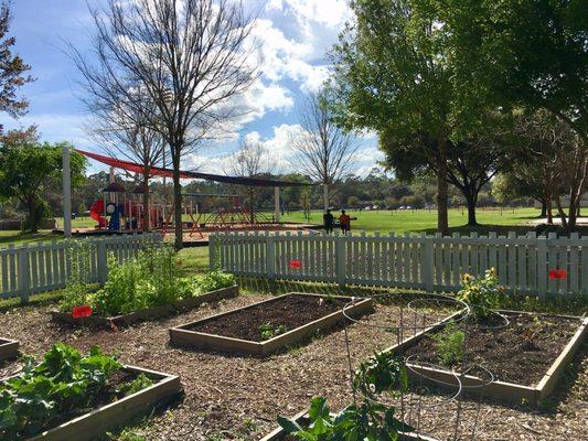 Community Garden with play area in the background