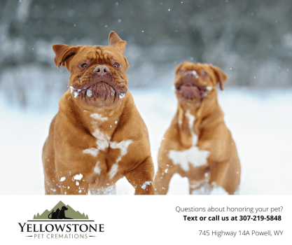 Yellowstone Pet Cremations