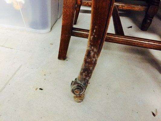 Antique furniture damaged by mold while being stored at Allied Tower Self Storage.