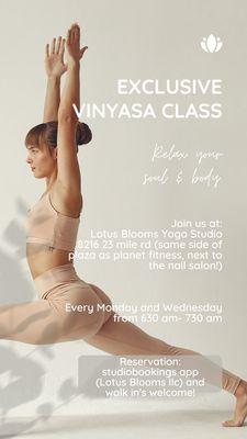 Lotus Blooms Yoga