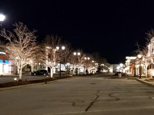 Fallen Timbers at Night