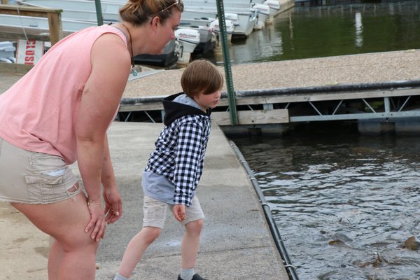 Fish feeding at Seven Points Marina