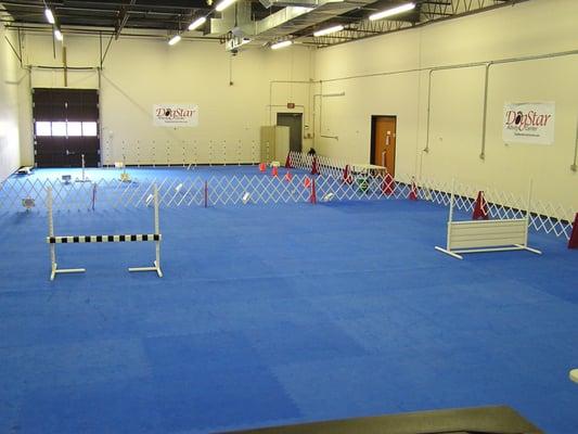 Training arena for obedience and rally