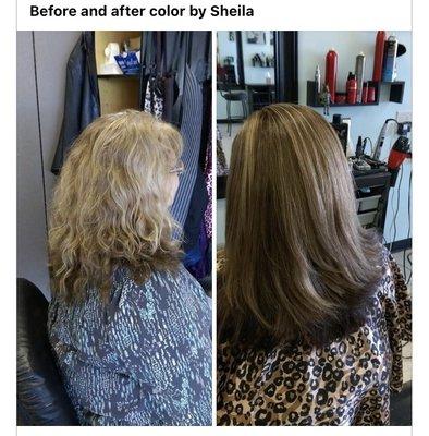 CORRECTIVE COLOR
 w REDKEN / SHADES EQ