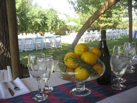 dinner on the lawn