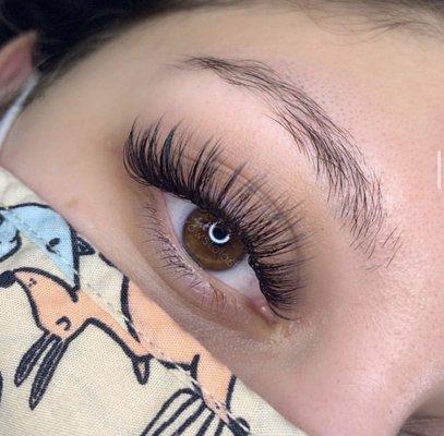 Brows to Lashes