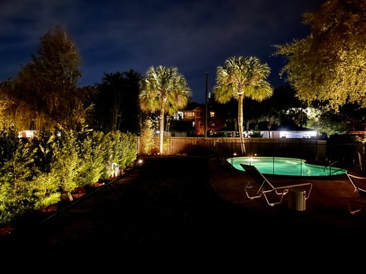 LED Landscape Lighting Installation.