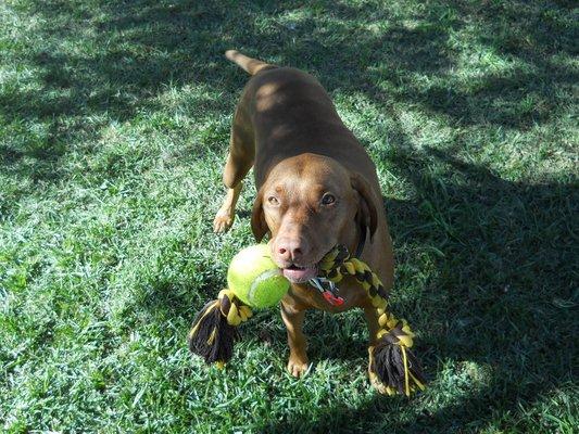 Brandi ready to play.