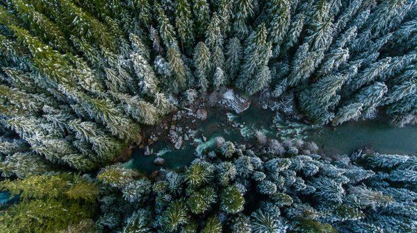 Drone Photography-Drone Bellingham-Drone Seattle