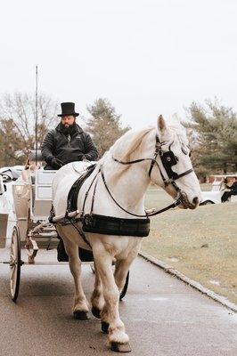 Horse and carriage !