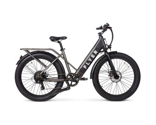 Flyer Ebike M880