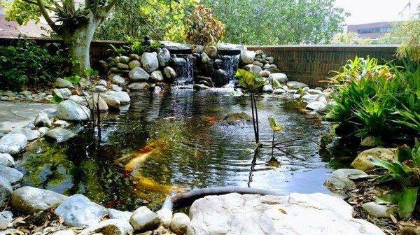 Aquascapes Pond Repair Services