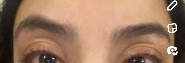 this is how my eyebrows looked before going in.