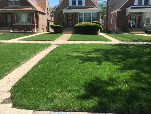 Fertilization and lawn cutting